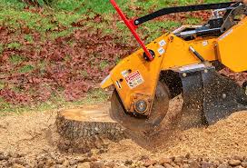 Best Lawn Mowing  in Lexington, OH