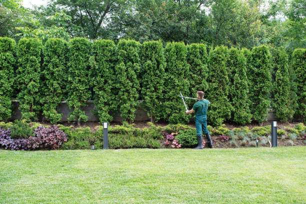 Lawn Watering Services in Lexington, OH